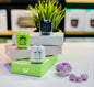 Air31 Earbuds Crystal Transparent Body